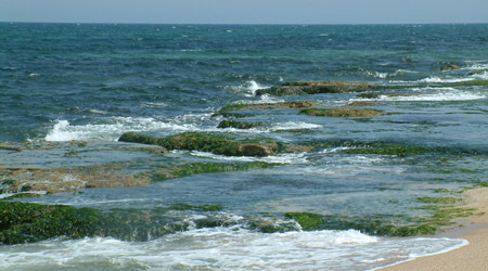 ��� ��� ���'�� - ����� �������