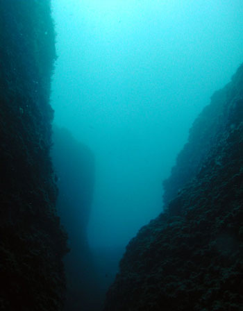 ����� �����