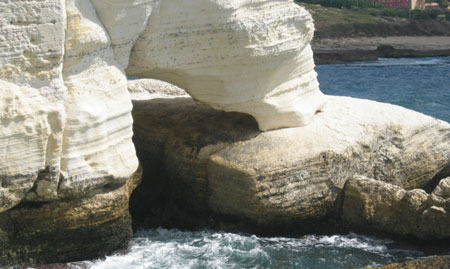 ��� ���� - ���-������