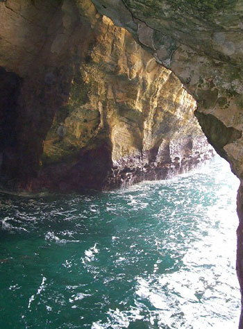 ������ ����-������