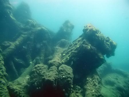 ����� �� ������